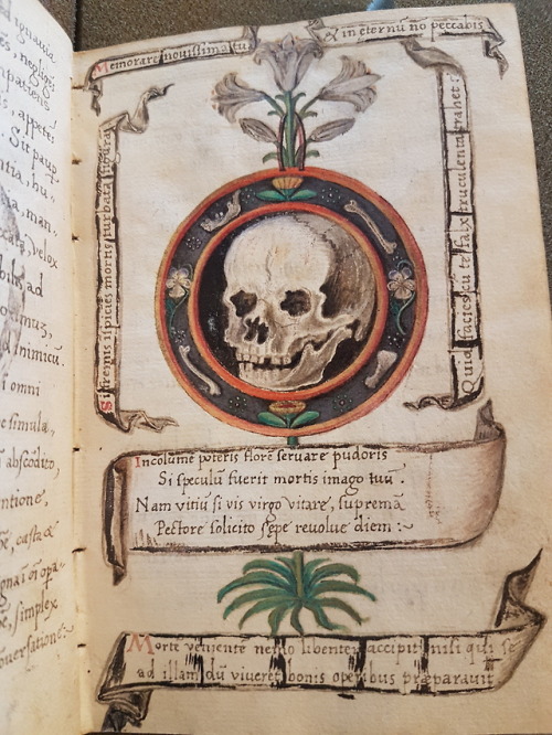 Ms. Codex 1620 -  Speculum perfectionis vene[rabilis]. Fr[ater]. Henrici&hellip;Before