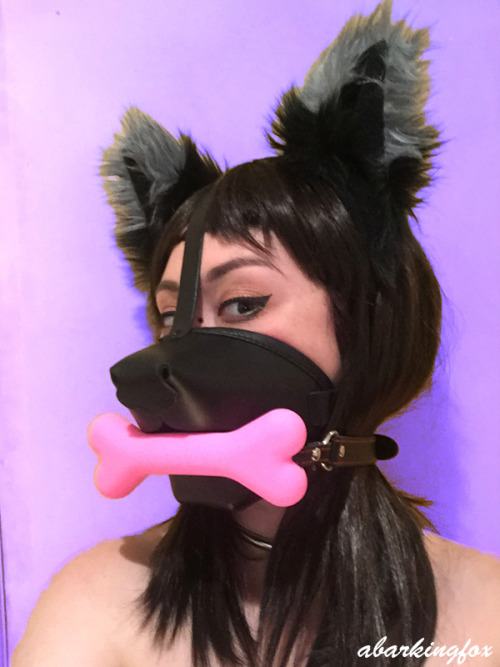 bdsmgeekshop:  abarkingfox:  Gagged, Muzzled Fox.Thanks to bdsmgeek ( bdsmgeekshop ) for the adorable, pink bone gag! Purchase this gag and much more at their store, here !  So cute!!!!!