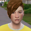 simducks