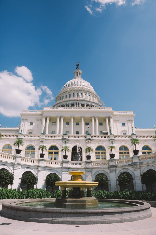 I recently went to Washington DC and captured a lot of exciting landmarks and interesting people, so