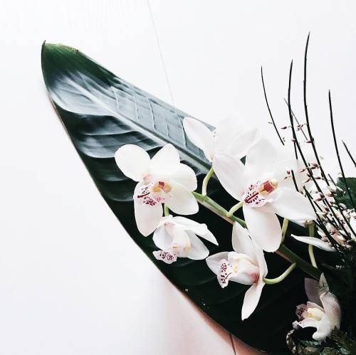 floricious:  familur:  rhenegade:  + // spread your wings   f a m i l u r  view my themes here