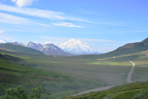 7.20.18 // denali road // AK