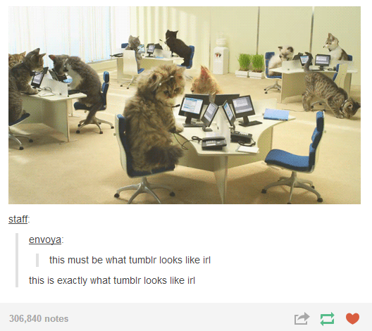 gaiash:  tbotofficial:  The Best of Tumblr #7 #6 / #5 / #4 / #3 / #2 / #1  Mostly