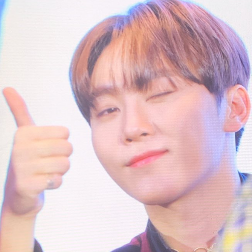seungkwan icons - seventeenplease like/reblog is you use/save! credit is nice, but not required &