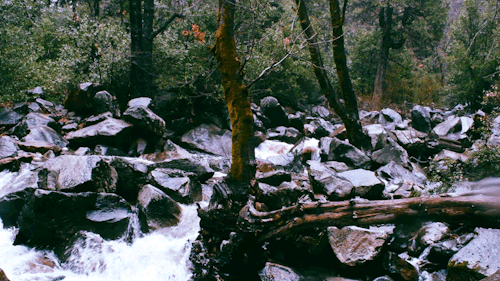 leahberman:  river dancer yosemite, california adult photos