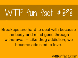wtf-fun-factss:  The health problems of love