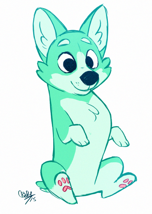 rollingrabbit:  a corg 