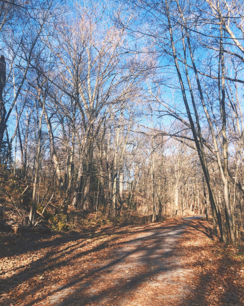 Last warm weather day of the year in Western PA! Grateful I was able to get out into the sunshine on