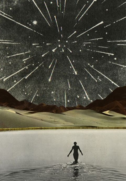 narcissusskisses:  Collages by Sammy slabbinck