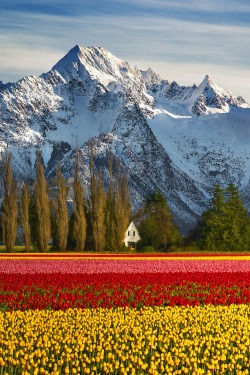 sublim-ature:  Skagit County, WashingtonLou Nicksic