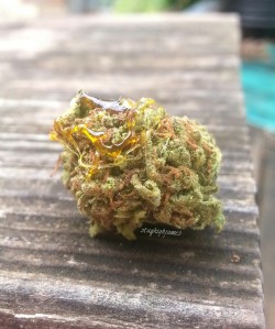 stayhighjames:  I’m getting a little twaxadasical. Ha.