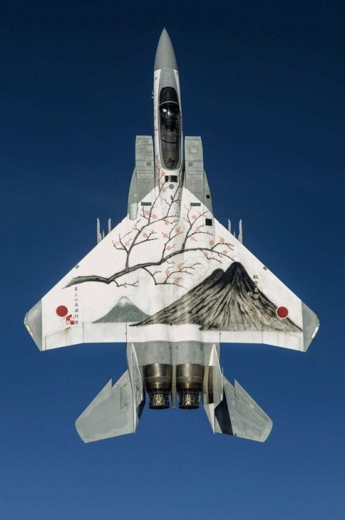 bmashine - F-15 air self-defense forces of Japan