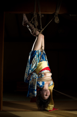 japanesebdsmofficial:  Kinbaku Kasumi HouraiModel