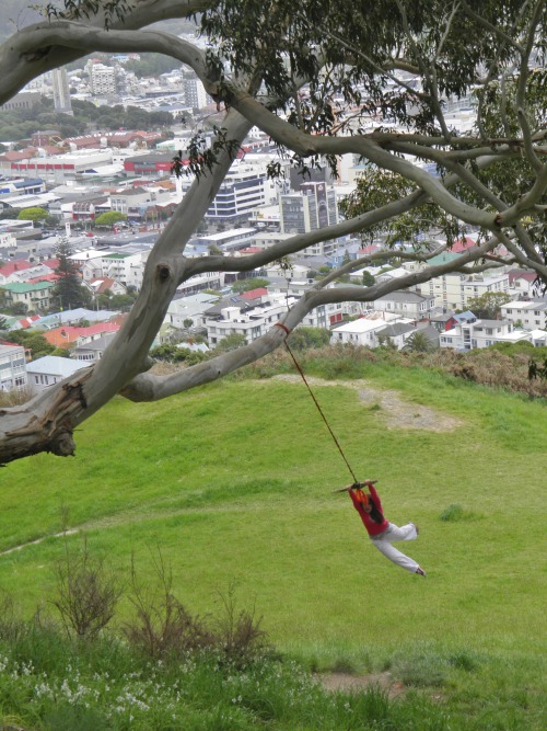 Wellington, New Zealand. Unleashing the child within.