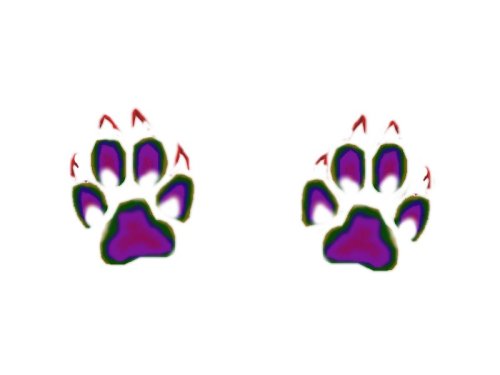 Actually went and did research for this one! The basic shape is based off of an actual wolf pawprint