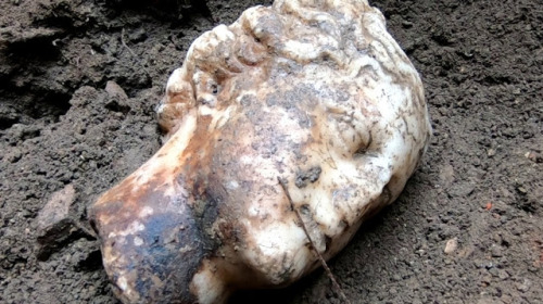 wolfsmilk: Marble Head of Aphrodite Found in Ostia Antica