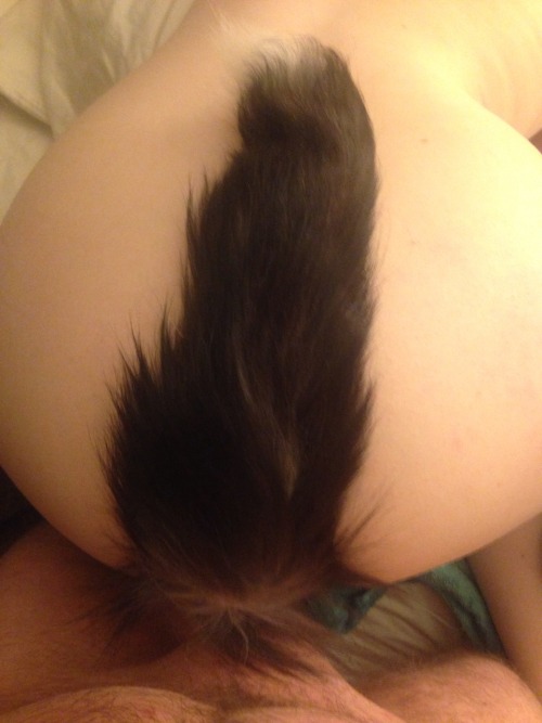 PhoenixAndy