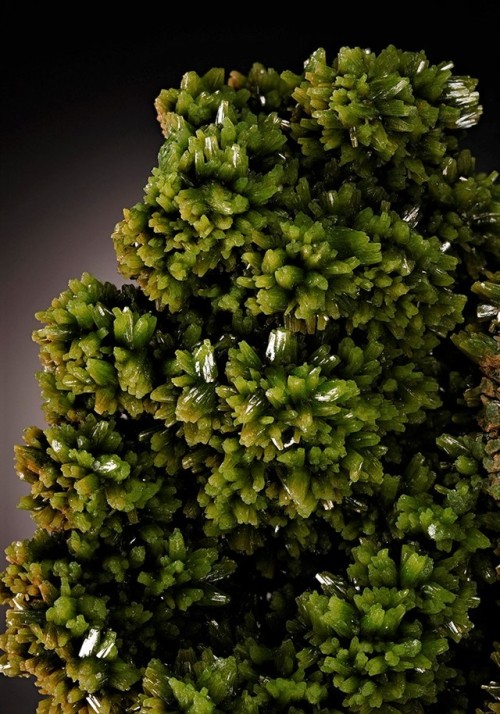 Pyromorphite - Daoping Mine, Gongcheng Co., Guilin Prefecture, Guangxi Province, China