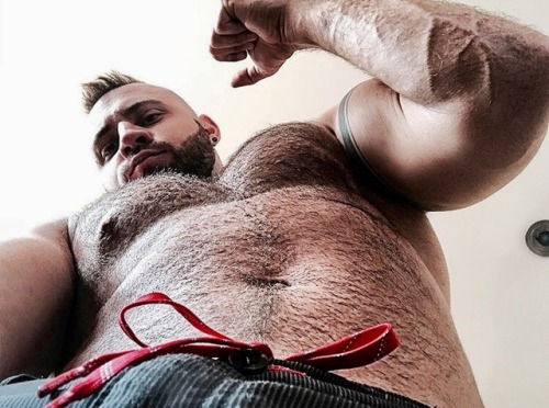 MUSCLE & BEARS