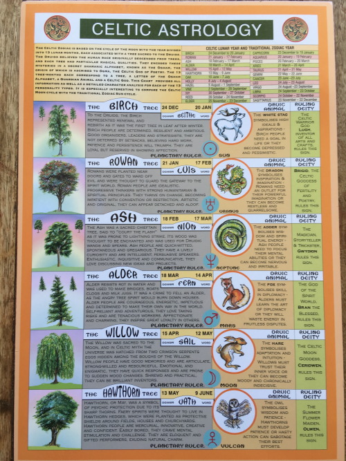 noise-vs-signal: The Celtic Calendar, with the trees that correspond to each month (”moon-th&r