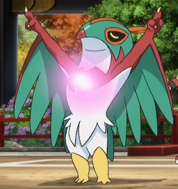     DO YOU KNOW THIS BIRD?    
