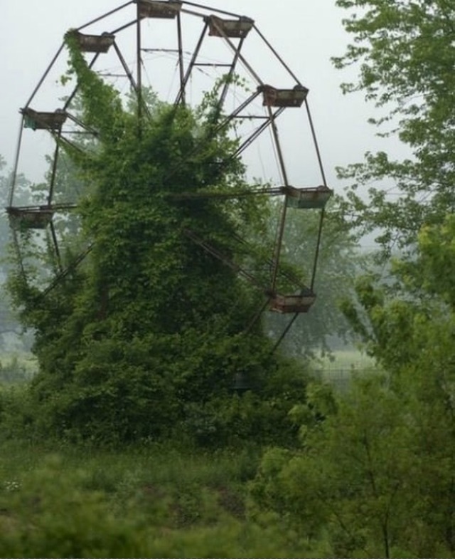 paolathesavage:  10knotes:  Abandoned Amusement Park in New Orleans    Aka the creepiest