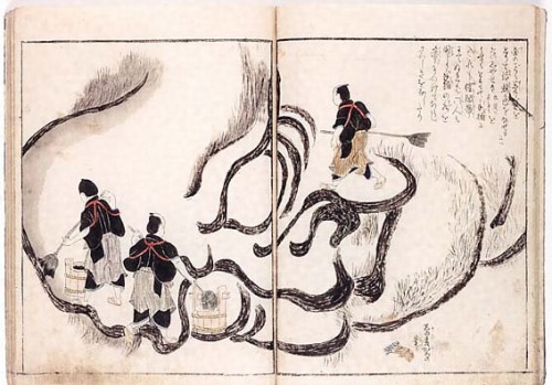 oldtimejapan:九十の天寿を全うした葛飾北斎は、また健脚でもあり、日本各地に弟子( 信州小布施の高井鴻山、名古屋の牧墨僊など)が多数いた。名古屋の滞在の折、特大の「達磨絵」を描いて人々をあっ