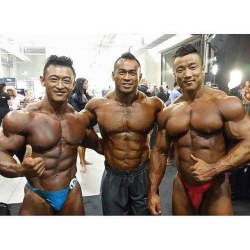 Big-Strong-Tough:  East Asian Muscle