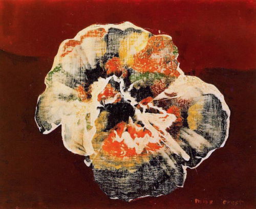 aizobnomragym: Max Ernst “Flower Shell”