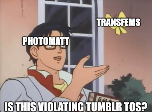 Tumblr media