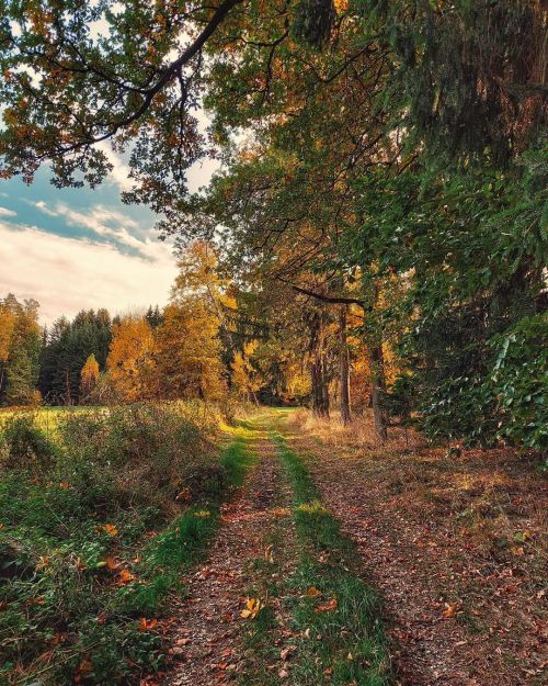 breathings: Beautiful autumn walk