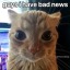 bandaidbones-blog