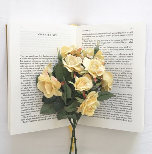 sophias-notebook:There is no friend as loyal as a book.