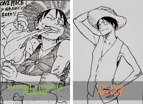 XXX  Popular Mangaka draw One Piece      photo