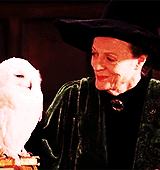  top 10 hp characters: [8/10] → minerva mcgonagall 