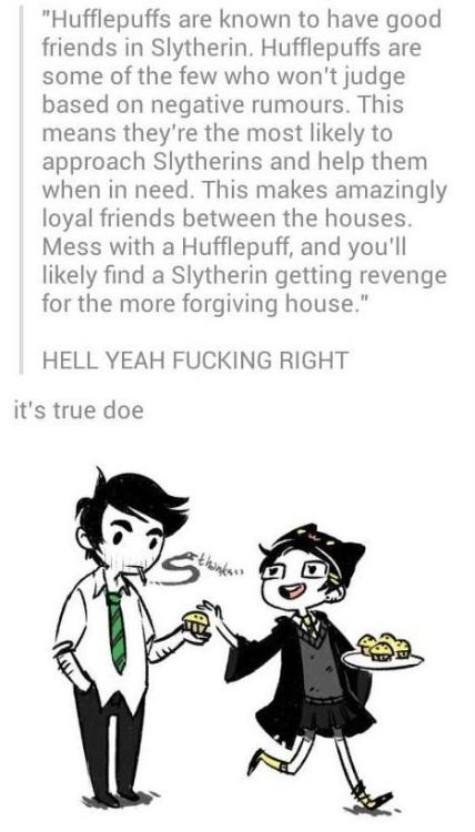 sweetsarsaparilla:Okay can I have some slight feelings on this.Slytherins get so screwed over in the