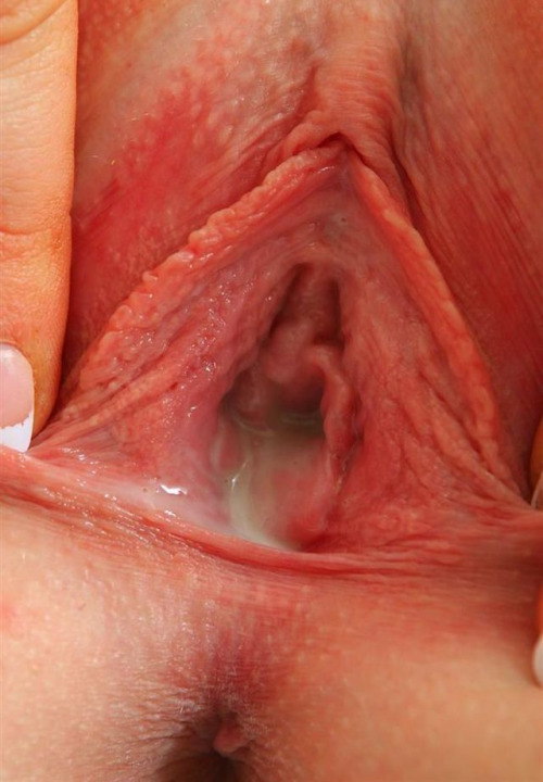 labiacream:  cummy pussy