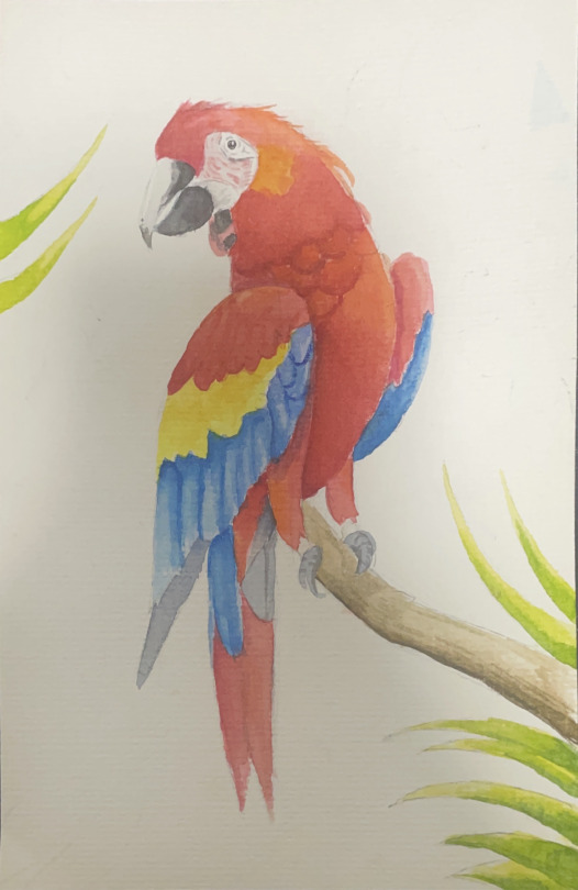 Silly Little Bird Drawing Lolz