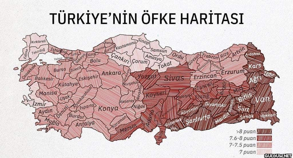 Bağırarak konuşuyoruz diye...