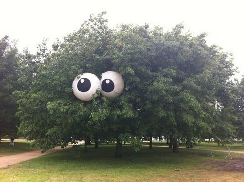 puyo-puyo-tetris: this tree is going to tell me theres a jiggy on top of it and that i need to climb
