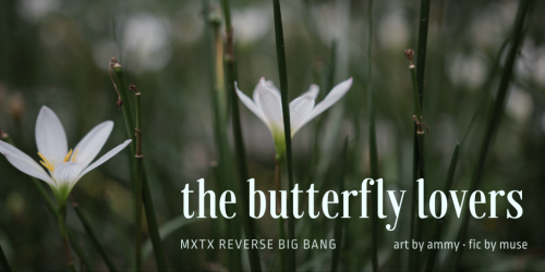museaway:the butterfly loversa hualian soulmates AU  | canon divergent | 37K | mature | happy ending