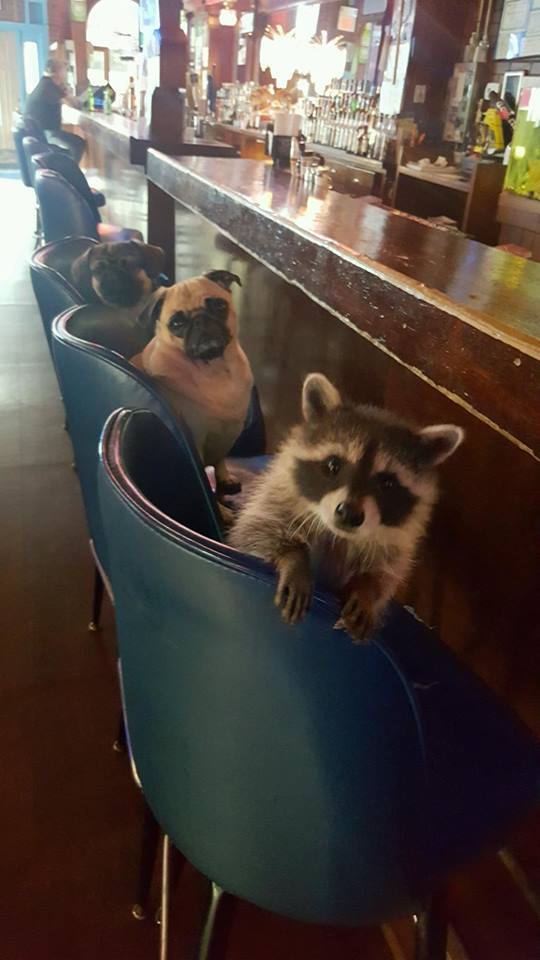 savetheman:  TGIF! I had to share this. A friend of mine in Illinois owns a bar.