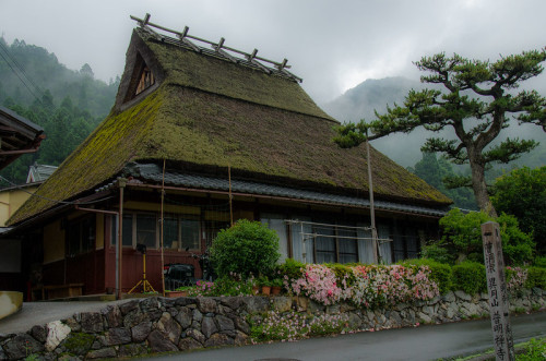 uroko:Miyama, Kyoto / 美山（京都）