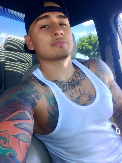 elmexicano69:  mexicanandhorny:  Snapchat 👻: MexicanAndHorny  😍😍😍😍😍😍