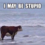 horsethehatman
