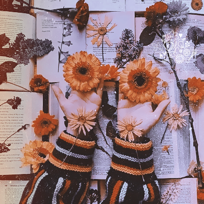 ⠀⠀   ꜥꜤ  𓂃 🗯️  !¡  𝘕𝘦𝘸 𝘱𝘰𝘴𝘵  ⦂  𓄹  𝐵𝑦 𝑥𝐻𝑎𝑛𝑛𝑖𝑒