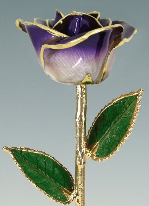 sosuperawesome: Real Preserved Roses Trimmed with Gold / Dipped in GoldLiving Gold Co on EtsySee our