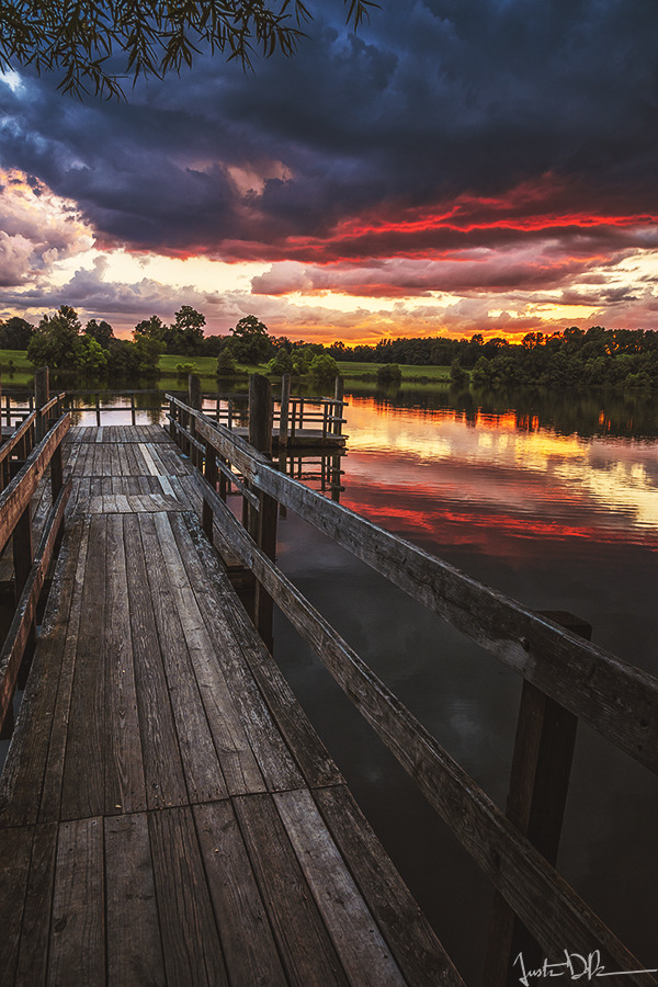 justinderosaphotography:illume