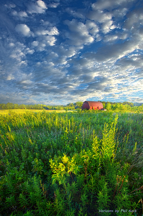 “Today I Took a Walk in the Clouds”Wisconsin Horizons by Phil KochTurning natural landsc