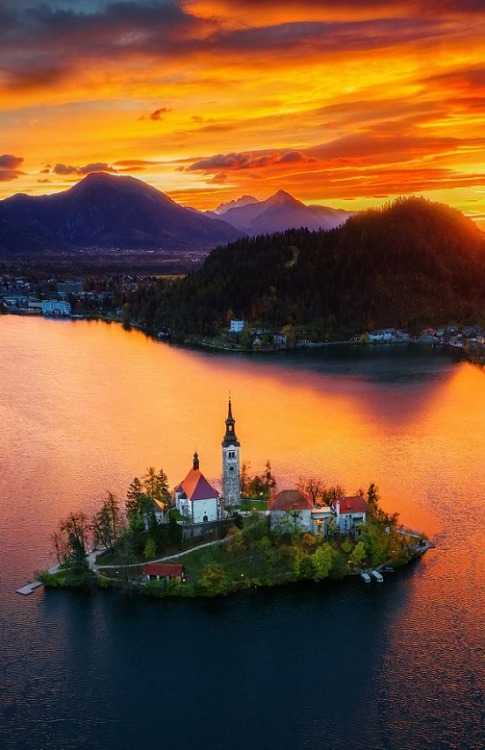 275jesuss: Aerial view of church of Assumption in Lake Bled, Slovenia by Valentin Valkov 